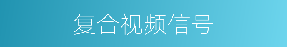 复合视频信号的同义词