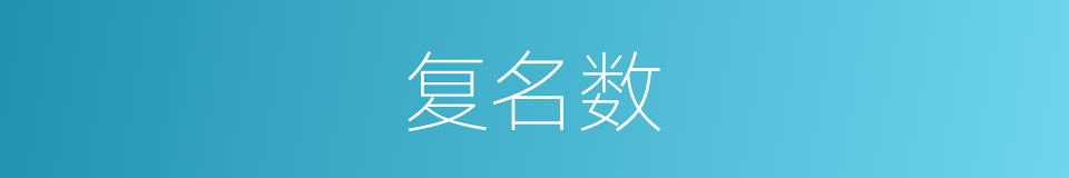 复名数的意思