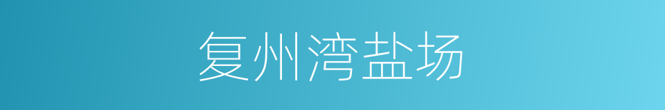 复州湾盐场的同义词