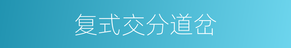 复式交分道岔的同义词