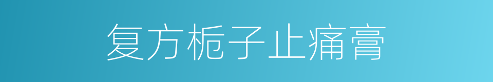 复方栀子止痛膏的同义词