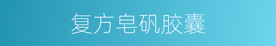 复方皂矾胶囊的同义词
