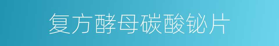 复方酵母碳酸铋片的同义词