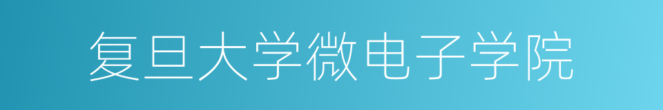 复旦大学微电子学院的同义词