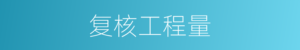 复核工程量的同义词