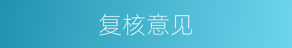 复核意见的同义词