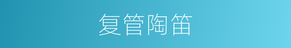 复管陶笛的同义词