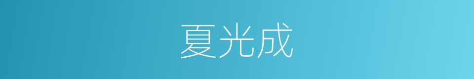 夏光成的同义词