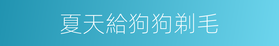 夏天給狗狗剃毛的同義詞