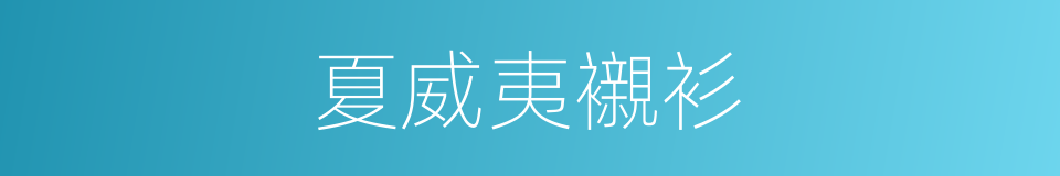 夏威夷襯衫的同義詞