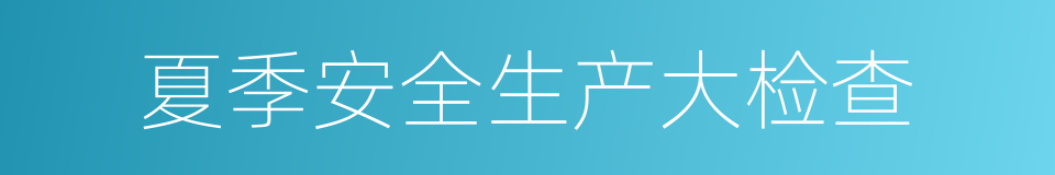 夏季安全生产大检查的同义词