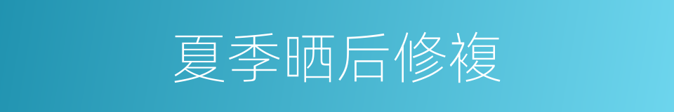 夏季晒后修複的同义词