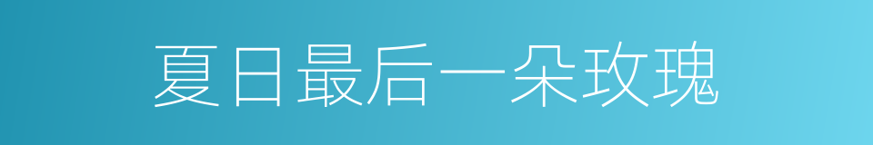 夏日最后一朵玫瑰的同义词
