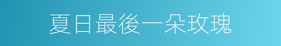 夏日最後一朵玫瑰的同義詞