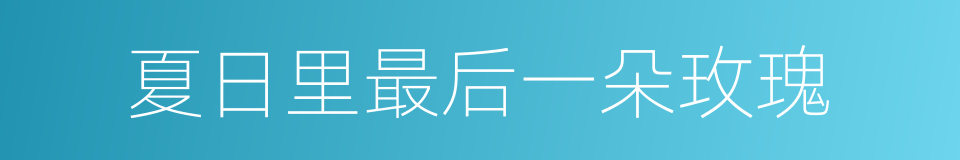 夏日里最后一朵玫瑰的同义词