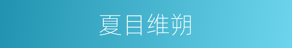 夏目维朔的同义词