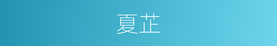 夏芷的同义词