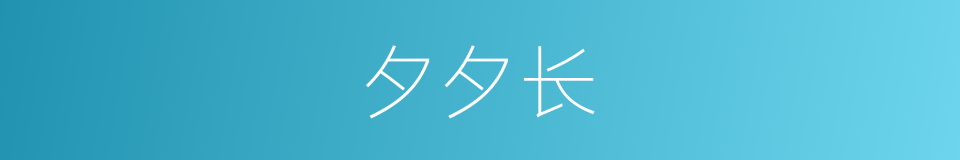 夕夕长的同义词