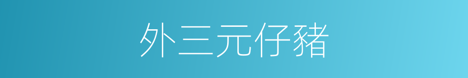 外三元仔豬的同義詞