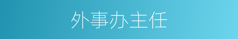 外事办主任的同义词