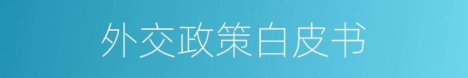 外交政策白皮书的同义词