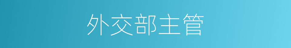 外交部主管的同义词