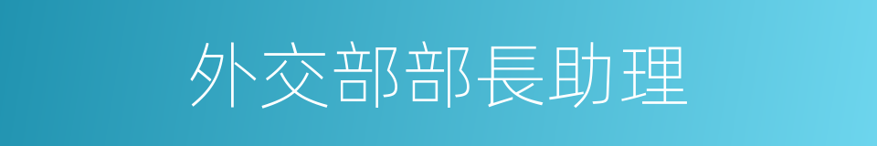 外交部部長助理的同義詞