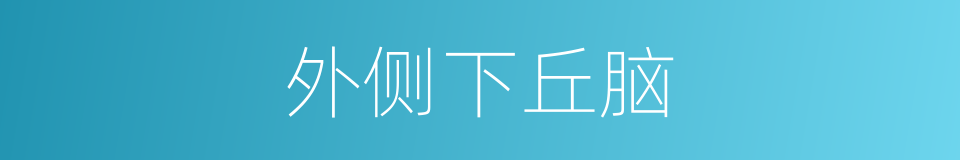 外侧下丘脑的同义词