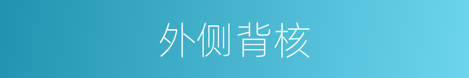 外侧背核的同义词