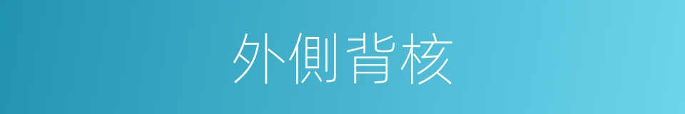 外側背核的同義詞
