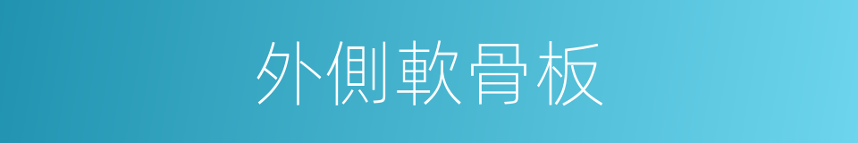 外側軟骨板的同義詞