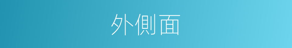 外側面的同義詞