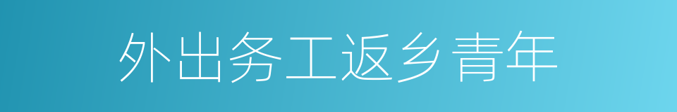 外出务工返乡青年的同义词