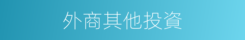 外商其他投資的同義詞