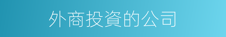 外商投資的公司的同義詞
