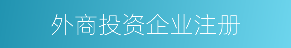 外商投资企业注册的同义词