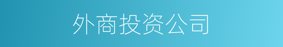 外商投资公司的同义词