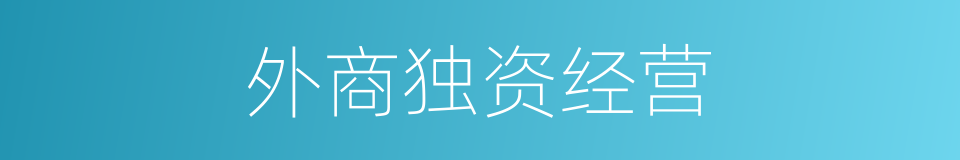 外商独资经营的同义词