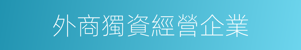 外商獨資經營企業的同義詞
