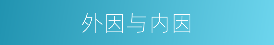 外因与内因的同义词