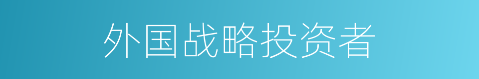 外国战略投资者的同义词