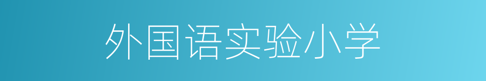 外国语实验小学的同义词