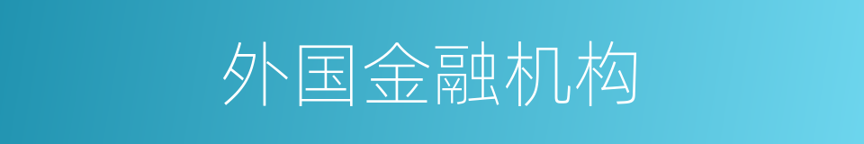 外国金融机构的同义词