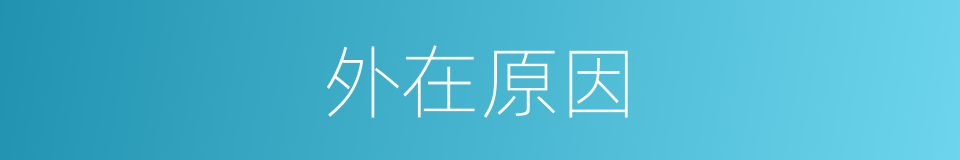 外在原因的意思