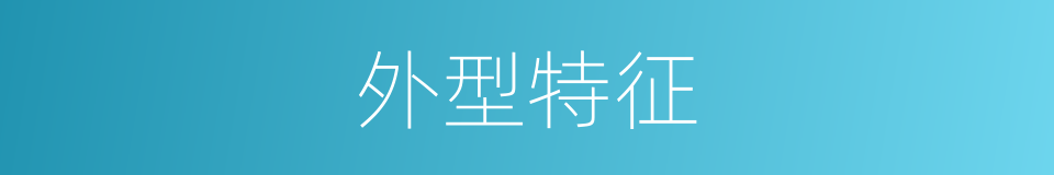 外型特征的同义词