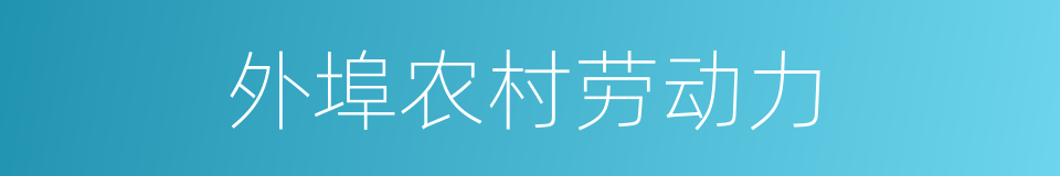 外埠农村劳动力的同义词