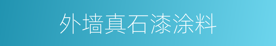 外墙真石漆涂料的同义词