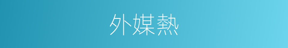 外媒熱的同義詞