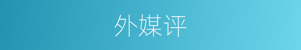 外媒评的同义词