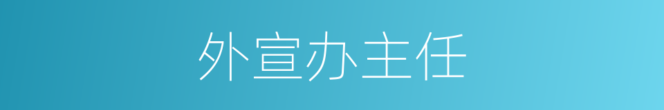 外宣办主任的同义词